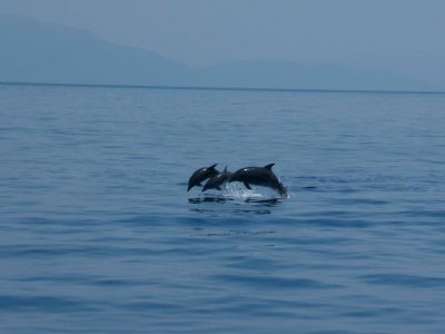 zeilvakantie zeilen blue cruise Turkije Griekenland (87)